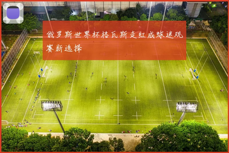 俄罗斯世界杯格瓦斯走红成球迷观赛新选择