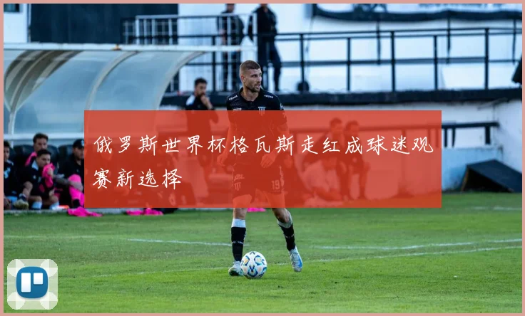 俄罗斯世界杯格瓦斯走红成球迷观赛新选择