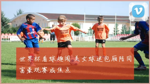 世界杯看球趣闻 美女球迷包厢陪同富豪观赛成焦点