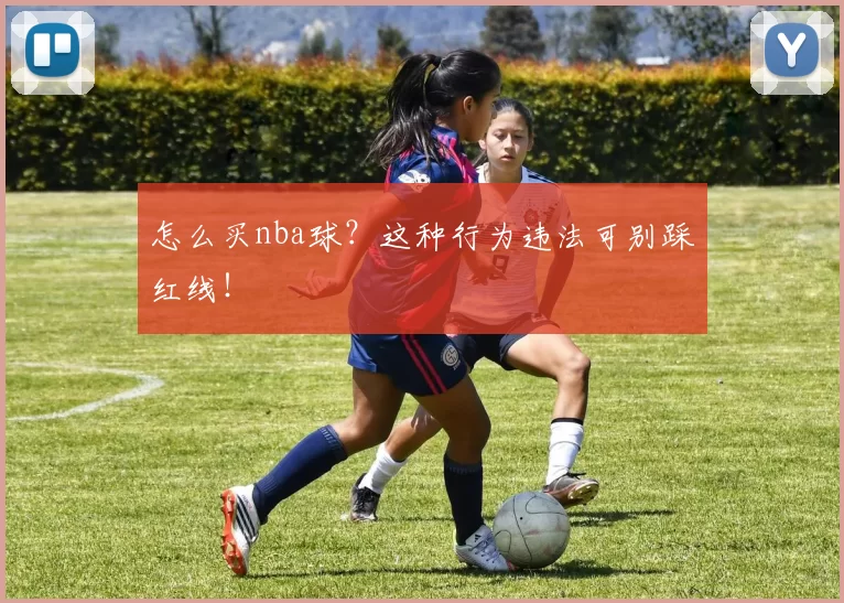 怎么买nba球？这种行为违法可别踩红线！