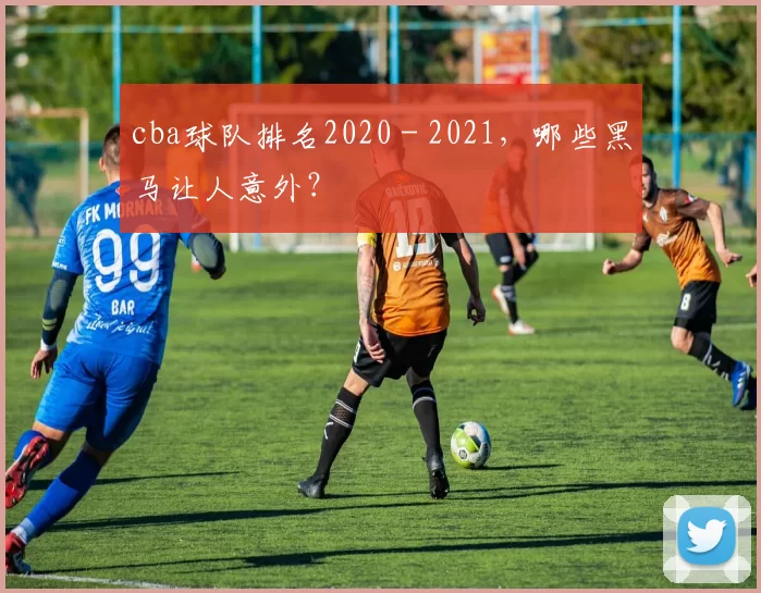 cba球队排名2020 - 2021，哪些黑马让人意外？